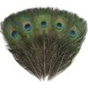 Peacock Feathers - Small (100 Pack)