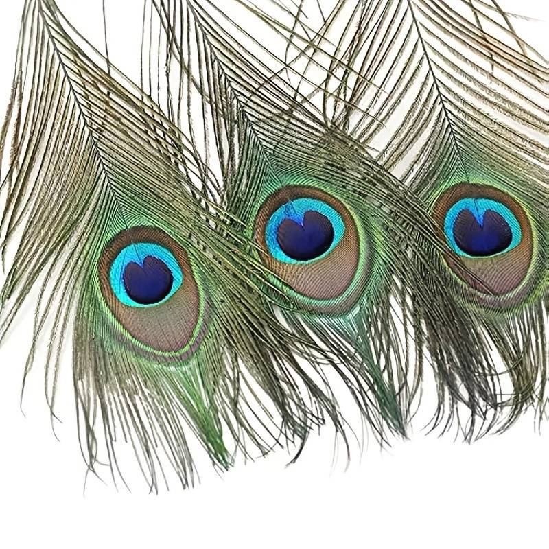 Peacock Feathers - Small (100 Pack)