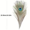 Peacock Feathers - Small (100 Pack)