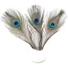 Peacock Feathers - Small (100 Pack)