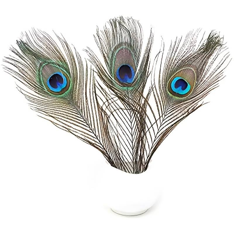 Peacock Feathers - Small (100 Pack)