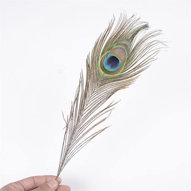 Peacock feathers, scientifically known as train feathers or coverts, are highly specialised structures found in the tails of male peafowls. Composed of a series of elongated feathers, they play a crucial role in courtship displays, attracting mates through their dazzling appearance.