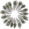 Peacock Feathers - Small (100 Pack)