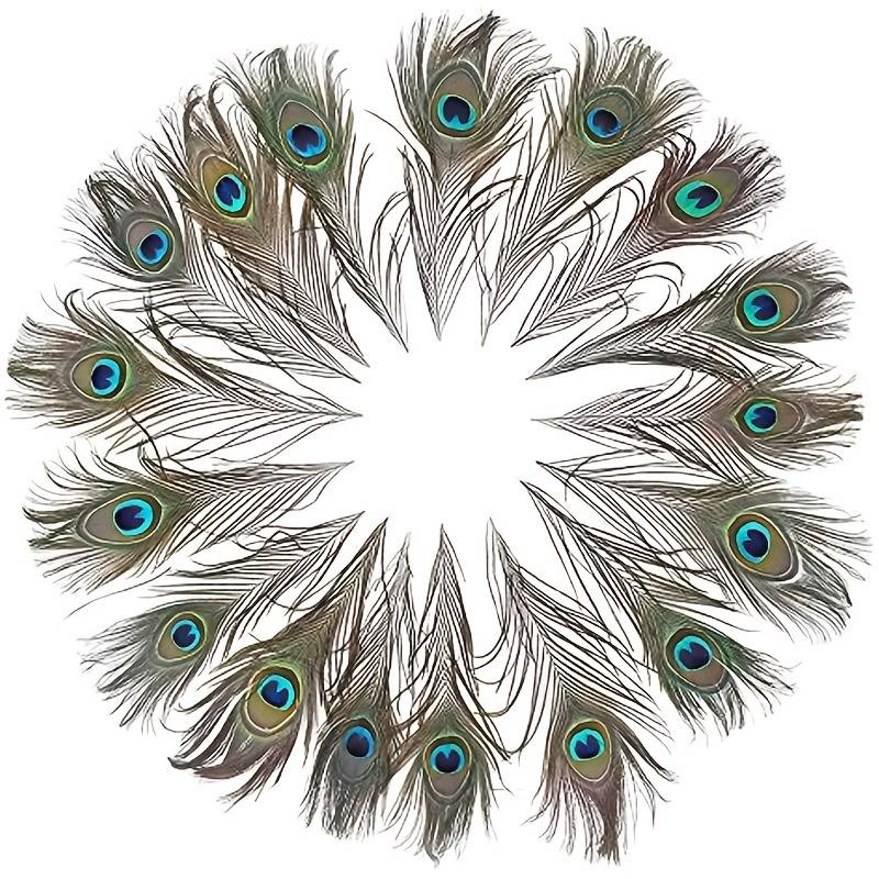 Peacock Feathers - Small (100 Pack)
