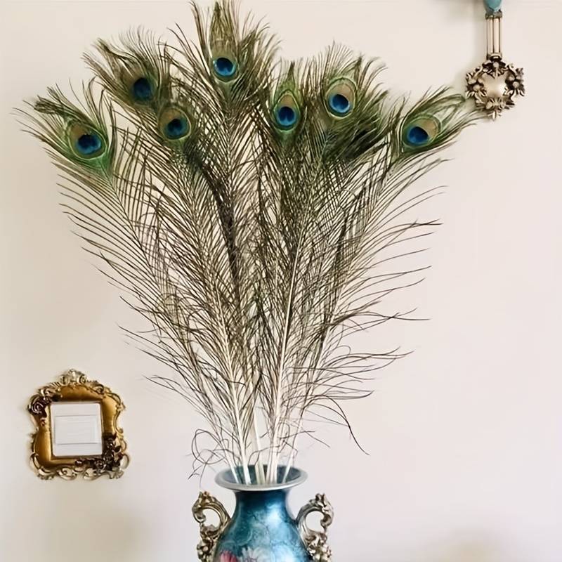 Peacock Feathers - Small (100 Pack)