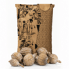 | Dried Decor Flowers image title | Dried Decor Flowers