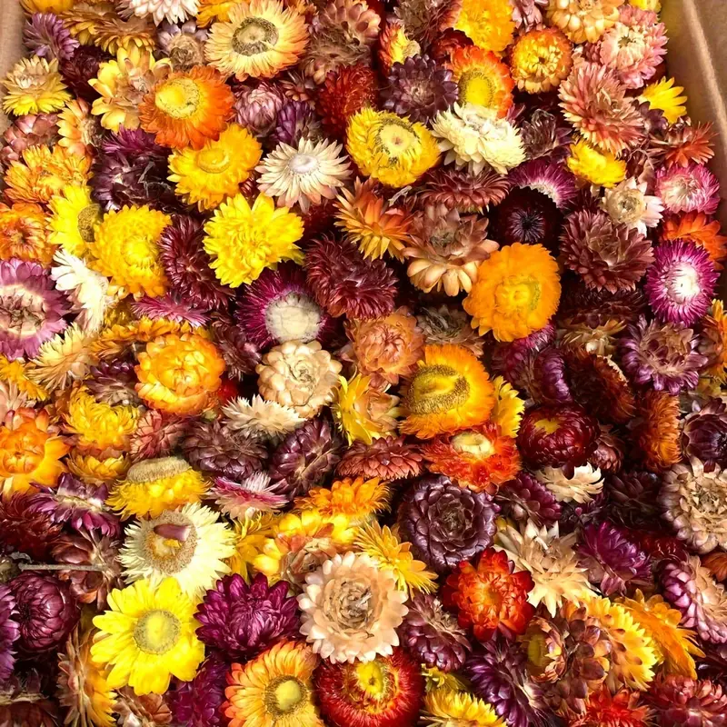 100 Product obtained from the mixture of edible dehydrated flower petals. The product presents a very colorful appearance due to its variety of colors, with a characteristic smell and taste of flowers with crunchy texture. Blend of rose, marigold, cornflower and tagete.