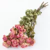 Dried flowers are rapidly growing in popularity, bringing lasting beauty and sustainability to weddings and interiors alike.