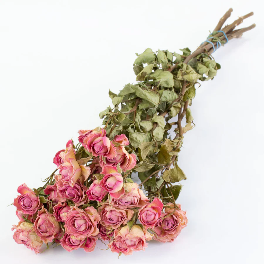 T00329A-Rose-Spray-Pink-5 Dried flowers are rapidly growing in popularity, bringing lasting beauty and sustainability to weddings and interiors alike.
