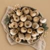 Dried Holland poppy pods for crafts, floral arrangements and home décor