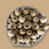 XL Dried Poppy Pods for crafts and home décor