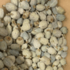 Hungary Small Size | Poppy Capsules, Poppy Pods | With Seeds | Dried & Without Shank | Craft Supplies & Decoration (2 Lbs)