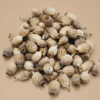 Small Decorative Dried Pods – Craft & Floral Use (Origin: Hungary)