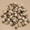 Medium Dried Poppy Pods for crafts and home décor