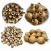 Mixed decorative poppy pods collection from Austria, UK, Hungary and Holland